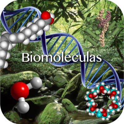 Biomoléculas.png